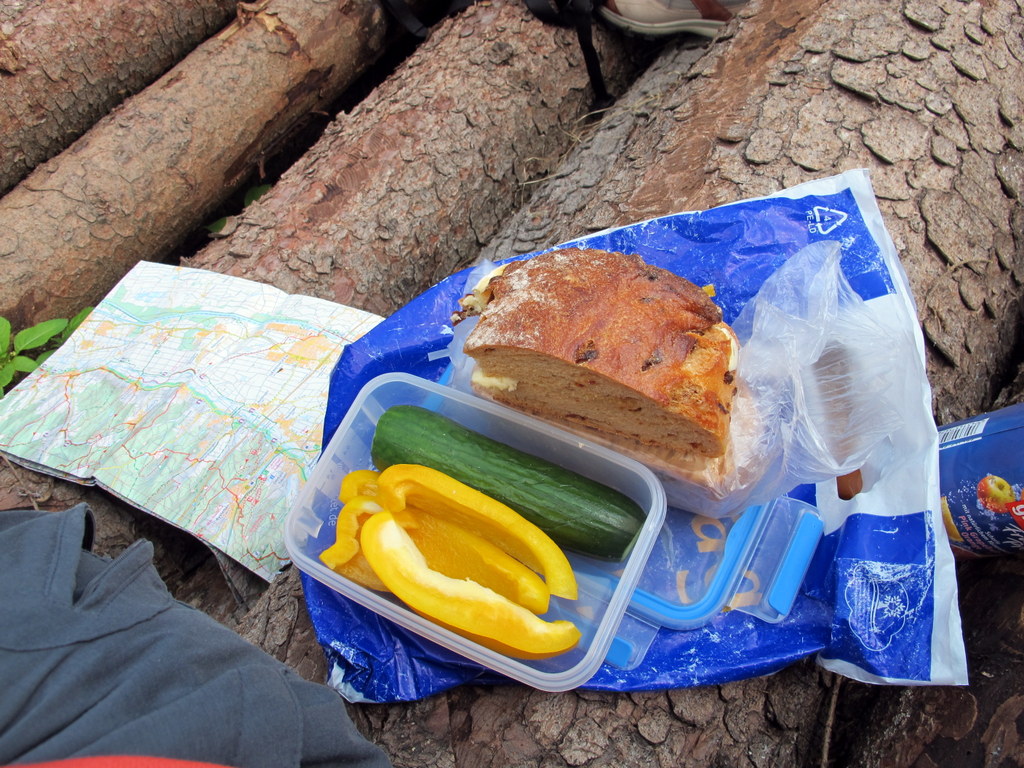 Immer ein kleines Highlight des Tages. Die Brotzeitpause! Im Winter oder bei Regen schon mal in einem Bushäuschen oder Hochsitz, bei schönem Wetter gern irgendwo im Wald! 