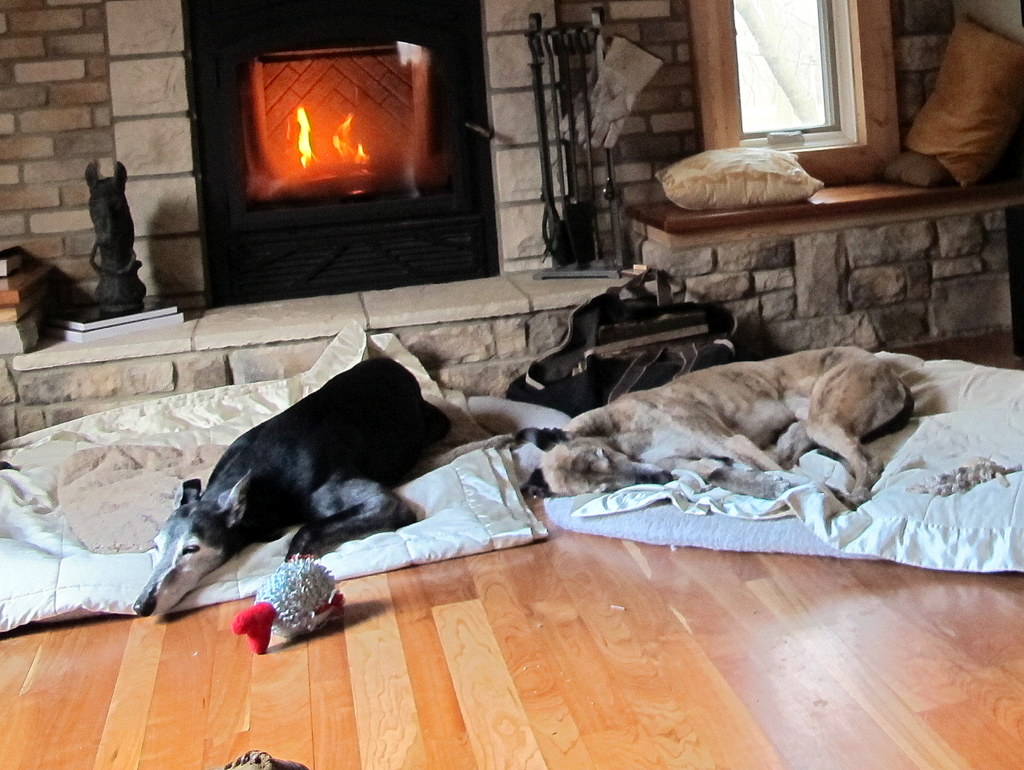 Zuzu and Sachi on their favorite place