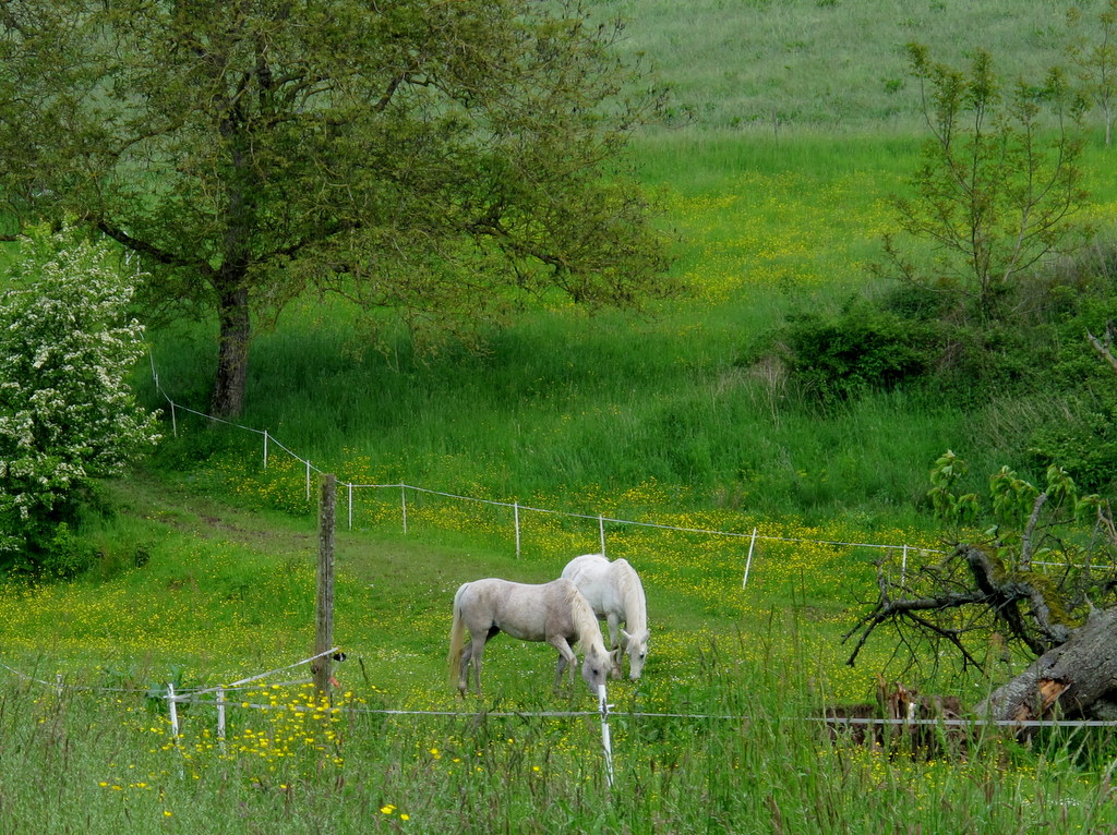 ...being outside, nature