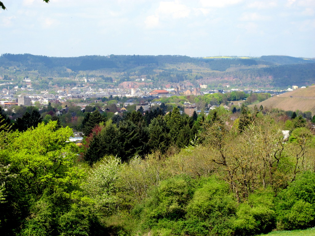 Blick auf Trier
