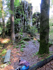 Altmühltal Panoramaweg Riedenburg - Kelheim 