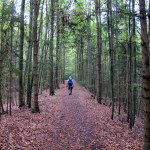 Altmühltal Panoramaweg Riedenburg - Kelheim 