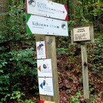 Altmühltal Panoramaweg Riedenburg - Kelheim 