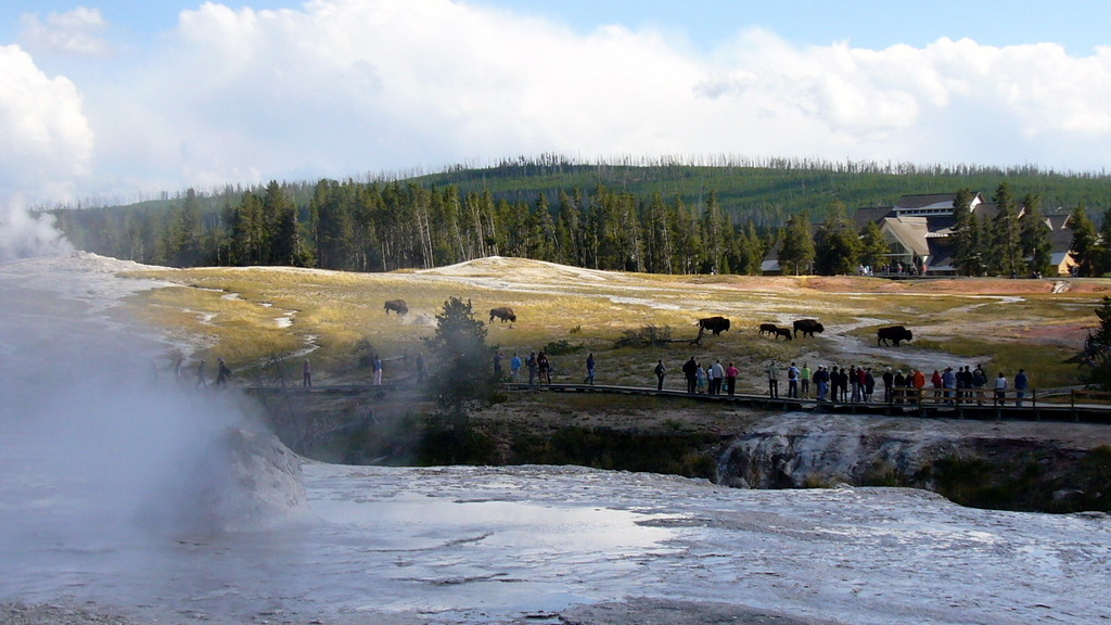 Yellowstone