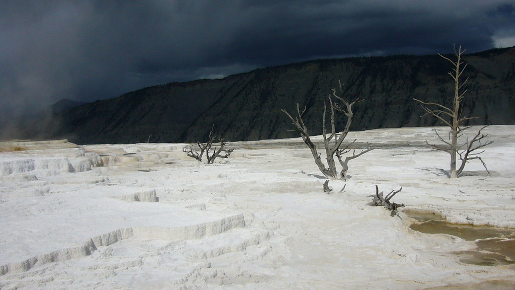 Yellowstone