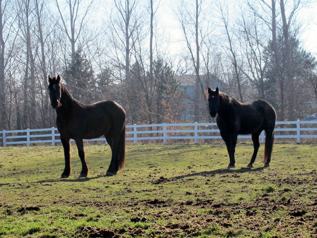 Oberon und Sir Charles