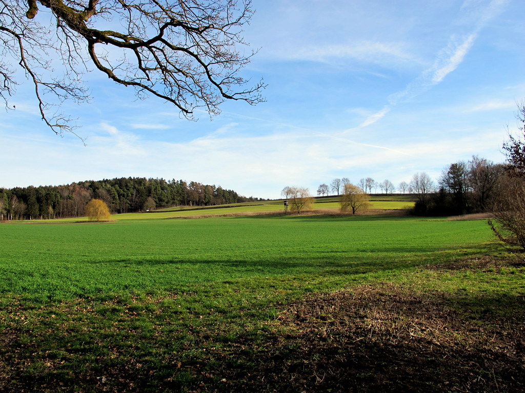 Wittelsbacher Land 6.2.16 065