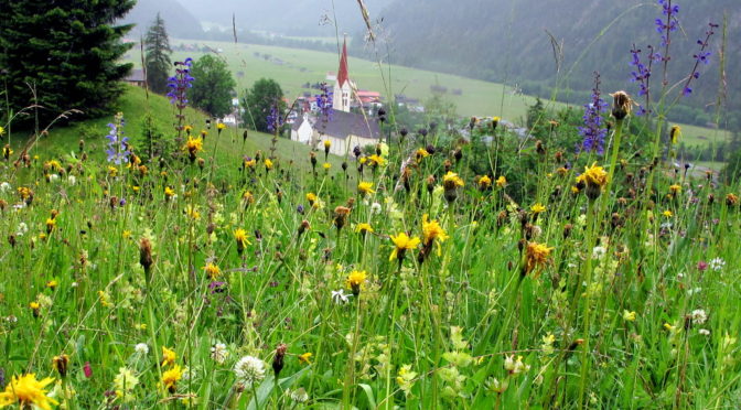 Lechweg – von Elmen bis Holzgau