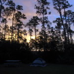 Lone Pine Campground Everglades NP