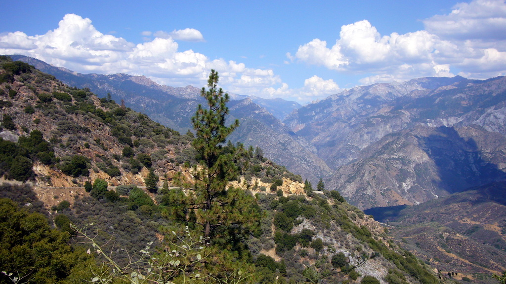 Kings Canyon NP