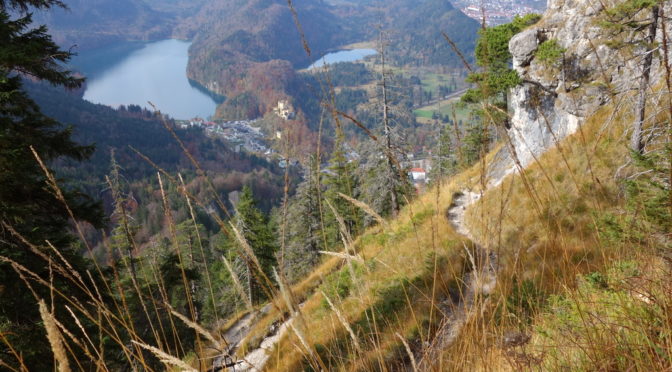 Maximiliansweg – von Hohenschwangau auf den Tegelberg