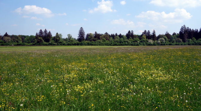 Kleine Fluchten – Königsbrunner Heide