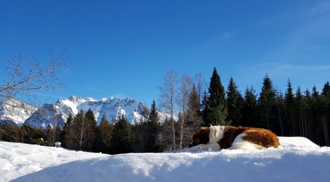 Ausgangspunkt Klais – zwei einfache Winterwanderungen