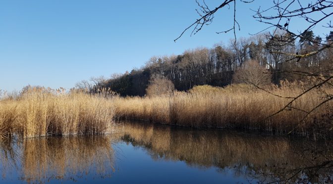 Mein Arbeitsweg – radeln durch die Jahreszeiten #biketowork